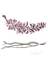 cards-bookmarks-ag