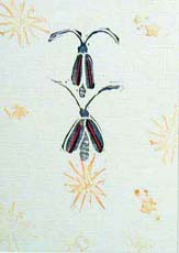 cards-bookmarks-k