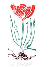 cards-bookmarks-n