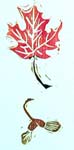cards-bookmarks-bb