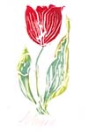 cards-bookmarks-q