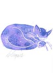 cat-sleeping2